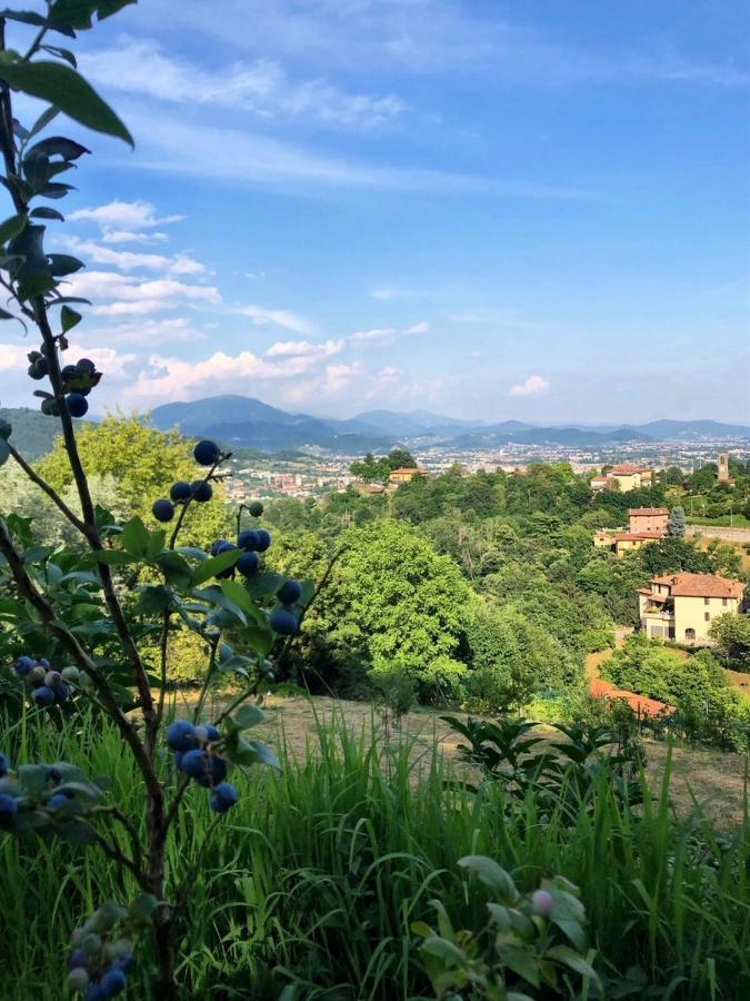 Foresteria Antica Bastia B&B Bergamo Bagian luar foto